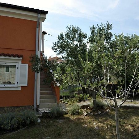 Apartman Branka Kornić Exteriör bild